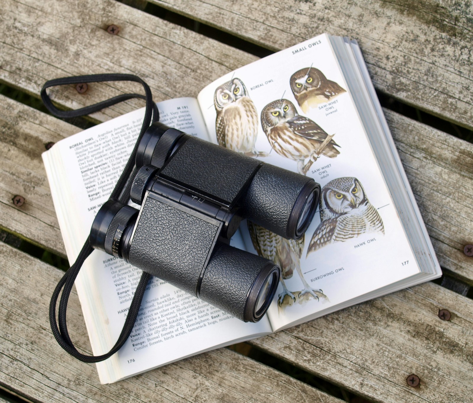 What to Pack for a Kenyan Safari: The Definitive Checklist