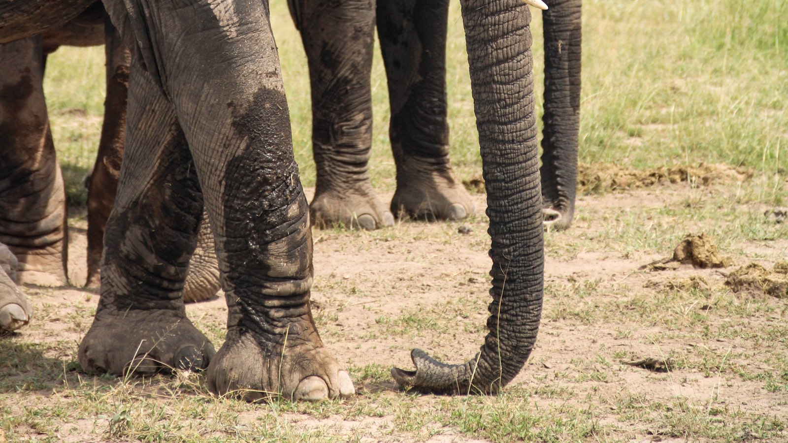 Amboseli National Park — Kenya safari destination