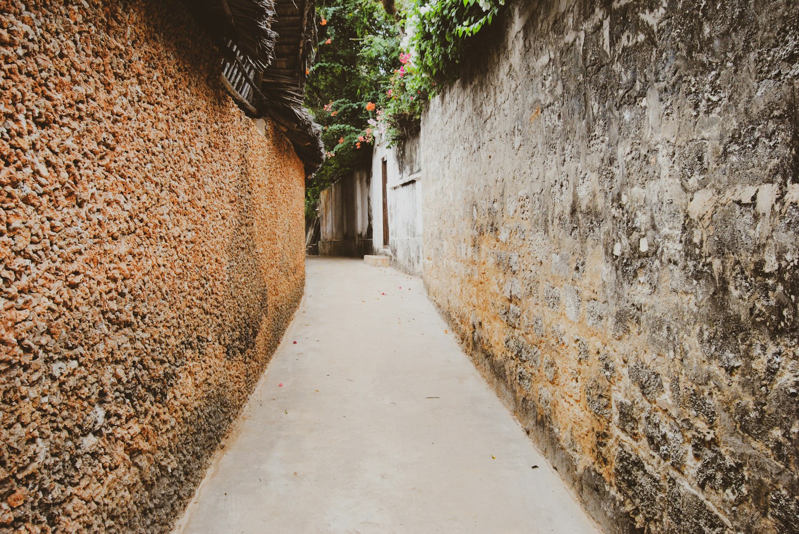 Lamu Island — Kenya safari destination
