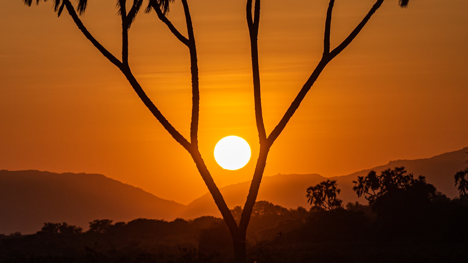 Samburu National Reserve — Kenya safari destination